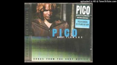 PICO – Trippin’ The Planet pico-trippin-the-planet